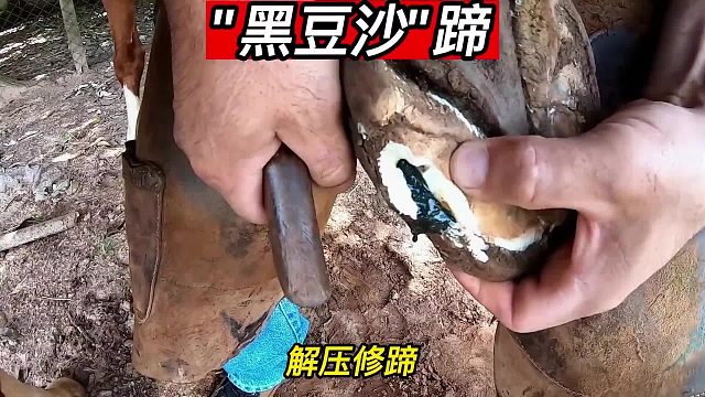 “黑豆沙”蹄，二楼驾到，统统闪开，这汹涌的黑豆沙，肯定比想象的更丝滑