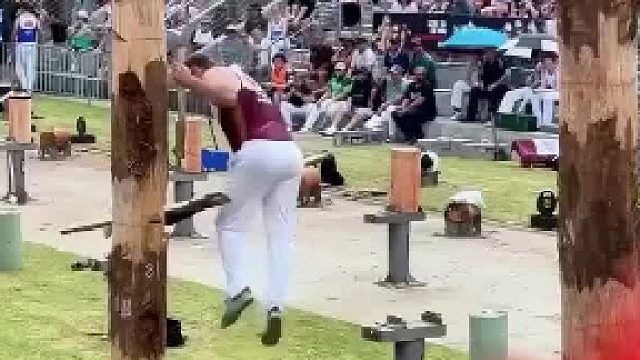 这只是其中一种的伐木比赛