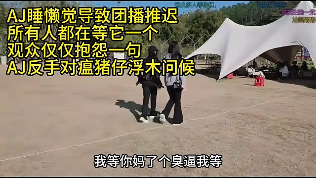 AJ对观众大爆粗口