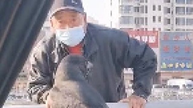 此鸟真是福星高照啊