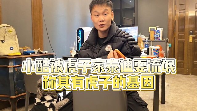 【小小小酷哥】小酷被虎子家泰迪耍流氓，称其有虎子的基因