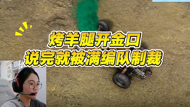 【烤羊腿】开金口说完就被满编队制裁！