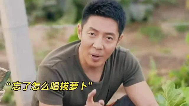 被撒贝宁版的《拔萝卜》给带偏了