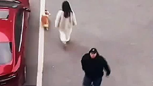 狗狗都  轻车熟路