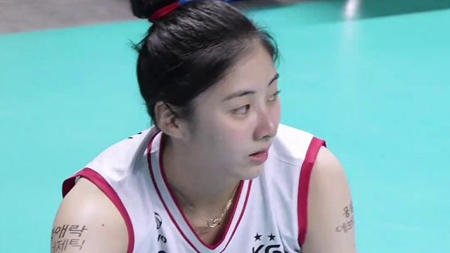 看看韩国排球女神