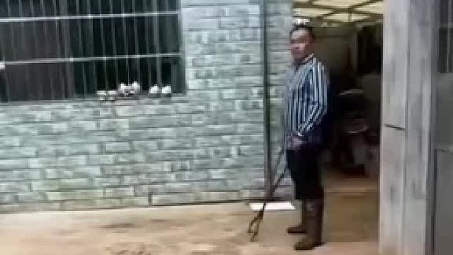 男子抓住咬人恶犬，经验丰富不带一丝犹豫