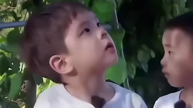 敢拒绝山鸡哥，嗯哼大王是第一人