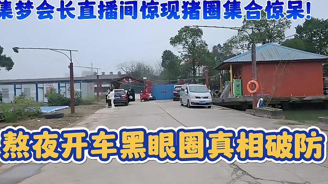 【集梦会长】直播间惊现猪圈集合惊呆！熬夜开车黑眼圈真相破防
