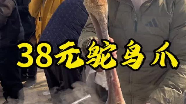 38元鸵鸟掌