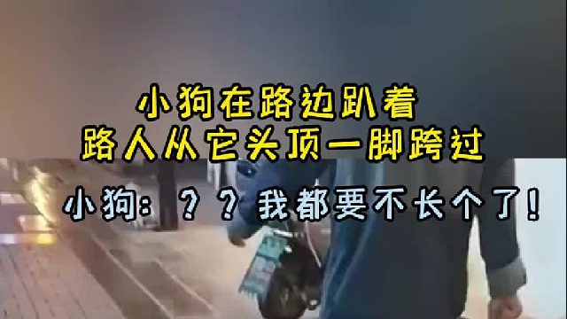 小狗：我都要不长个了！