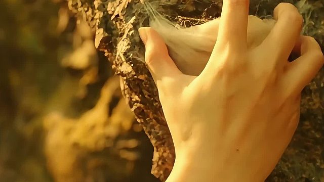 第1集 女孩无意间捡到一块玉，不料诡异的事情发生了