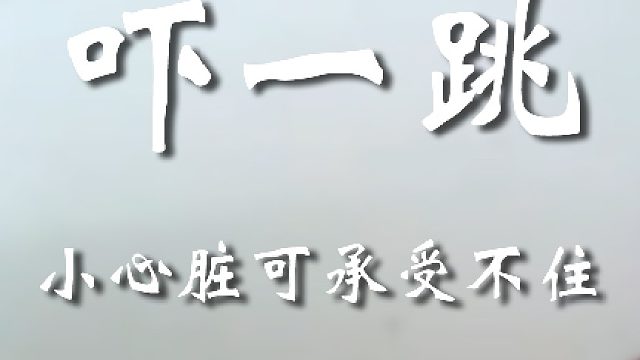 不是？这日子就不要来鉴定了吧