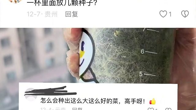 几百人围观的奶茶杯种菜教程来啦！针对大家最关心的问题，博主都总结在这一篇里了，动手试试，你也能实现“奶茶杯小菜园”自由！