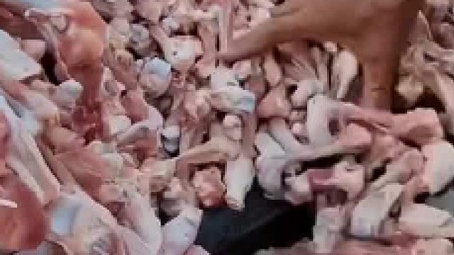 好家伙，还有印度小蜜蜂呢