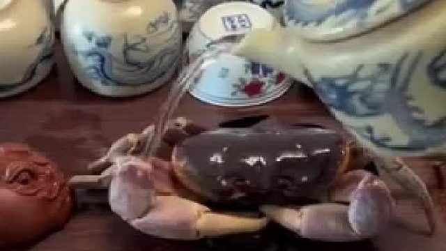 喝茶新搭子！螃蟹当茶宠养了一年，温顺又有趣，闲时盘一盘超解压