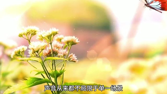 卡通童声暖活编程课堂梨花声音训练营