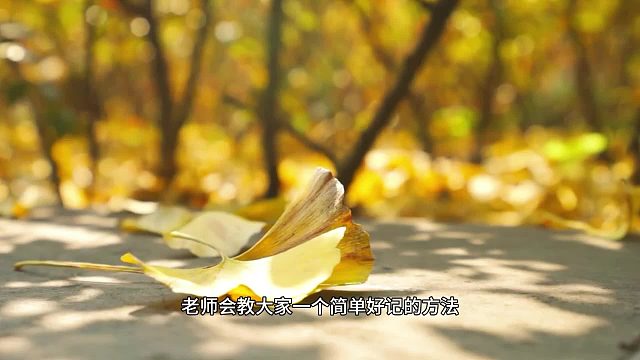 梨花声音研修院演播技巧藏干货，退费有底气