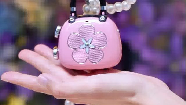 我要是不说，谁能知道这是个小音响吖