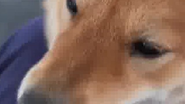 是表哥吗～表哥～