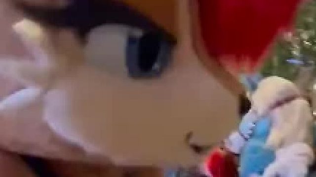 福瑞得有福才能叫福瑞