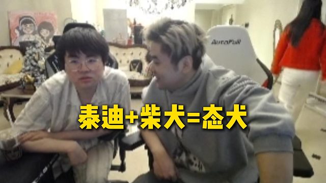 刘刘汪转述AJ原话，泰迪 柴犬等于态犬，看来AJ不想加入能心了