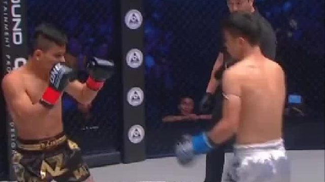 技术赢得比赛，体育精神赢得尊重