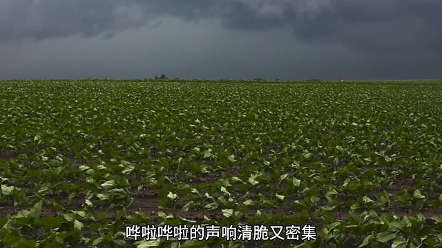 幕后声配撑起听觉质感梨花声音研修院退费