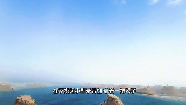 一把嗓子撑起灵活就业路梨花教育
