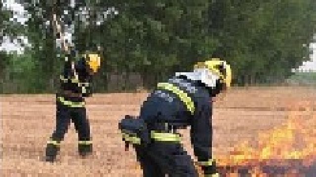 火口救粮只有农民的孩子才知道这场救火意味着什么