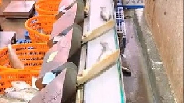 此设备真是棒极了