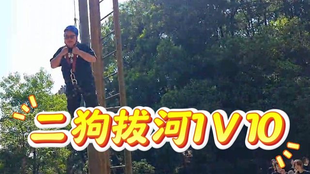 二狗拔河1V10，真不吹牛自己数数