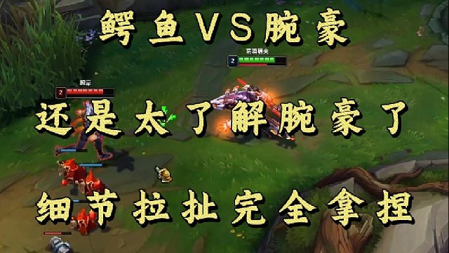 鳄鱼VS腕豪 还是太了解腕豪了 细节拉扯完全拿捏!