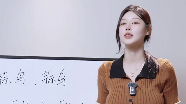 《蒜鸟蒜鸟》实用韩语教学