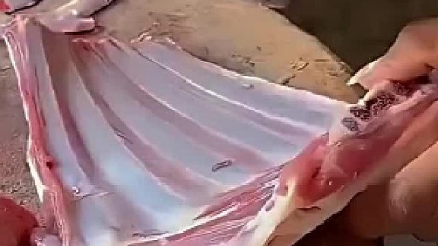 排骨的去骨过程，师傅一段一敲就出来了，网友：这还能叫排骨吗