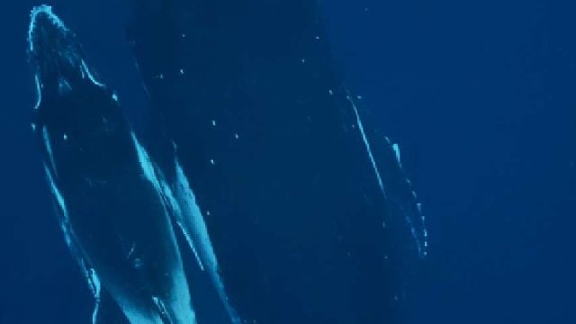 松弛有度，积极向上生活