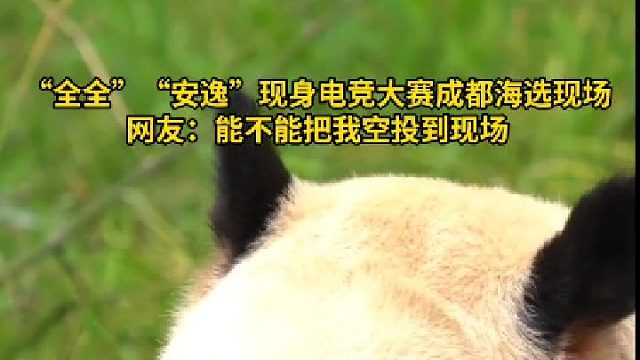 电竞全国大赛吉祥物“全全”与四川吉祥物熊猫“安逸”现身电竞全国大赛海选成都站现场