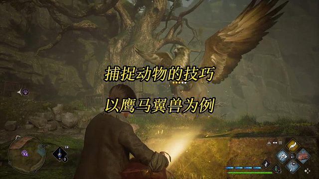《霍格沃茨之遗》怎么抓野兽？捕捉动物的技巧（鹰马翼兽在哪抓）-Hogwarts Legacy攻略
