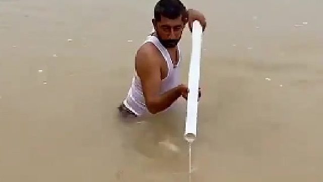 水中遇蛇惊险瞬间