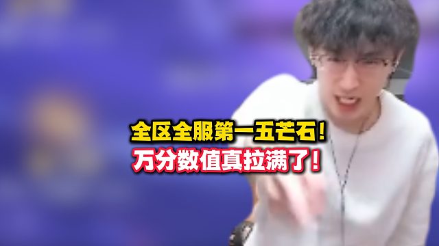 全区全服第一五芒石！万分数值它真拉满了！