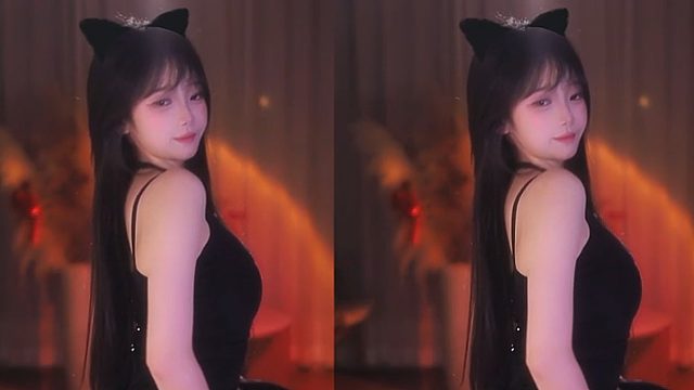 【HR-梗梗】小猫来了