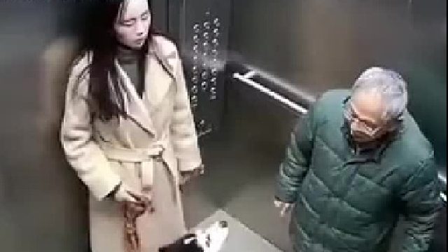 二哈狗子哈士奇不听话，文明养狗哦！