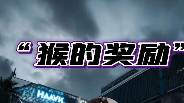 掏-咬-猴 猴的奖励