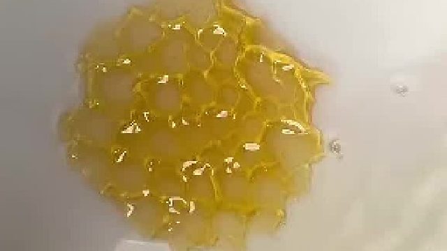 小哥教大家分辨真假蜂蜜