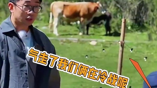 杨迪：这辈子的尴尬都用完了！