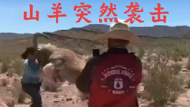 山羊的野性究竟有多大