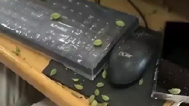 印度打工人现状：表面是IT精英，实则是“咖啡豆分拣工”！