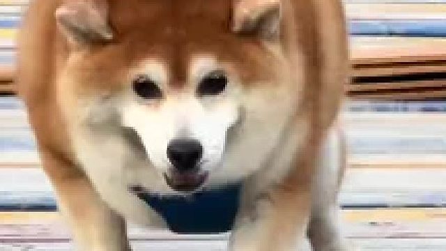俺不中了
