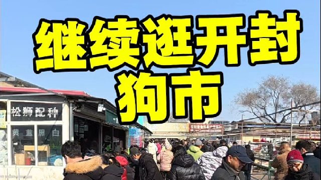 周日继续逛开封狗市，临近年关热闹的不得了！新手一定要多看多逛