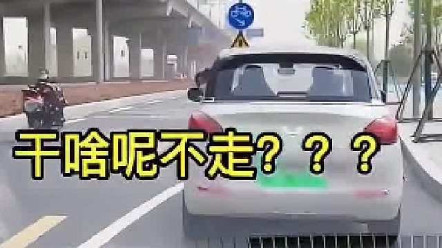 隔离带瑟瑟发抖