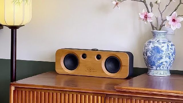 民宿客房变私人音乐厅，有声浪就够了！